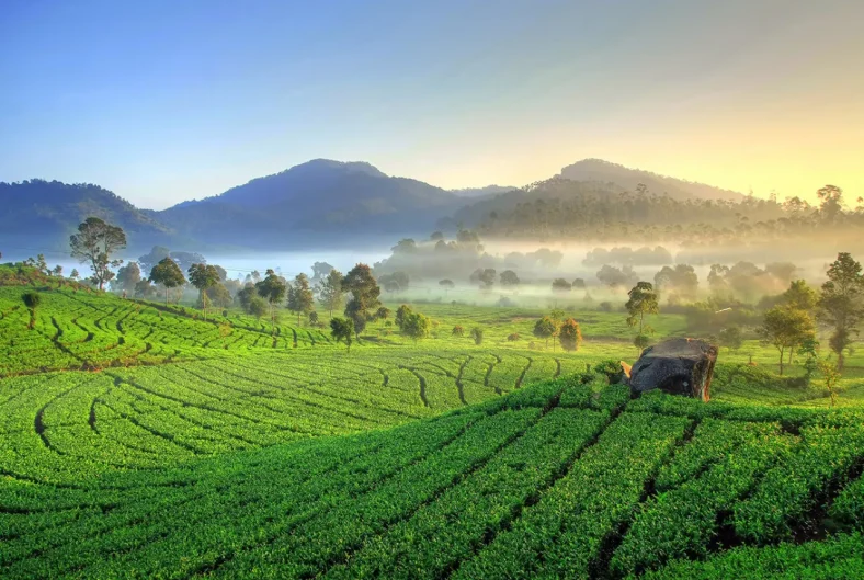 desa tersembunyi