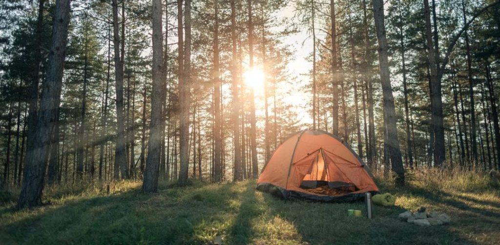 hiking dan camping